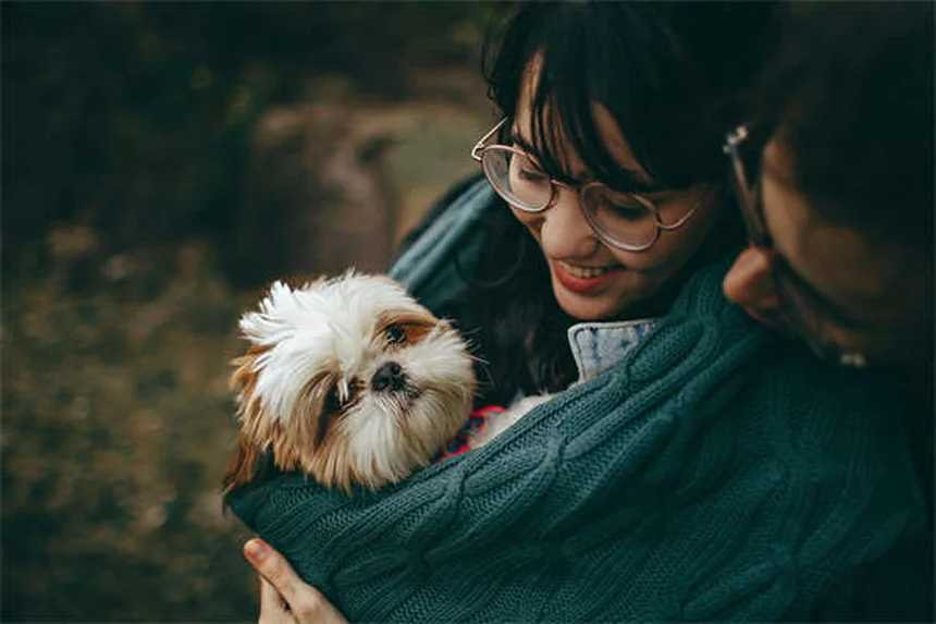 猫は恥ずかしいと感じる？行動の真相と対処法5選